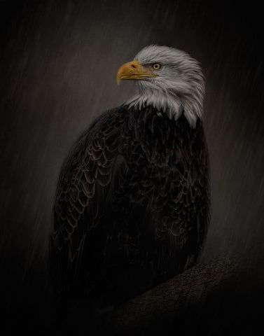 Serenity in Strength White Modern Wood Framed Art Print with Double Matting by Parker, Kelley