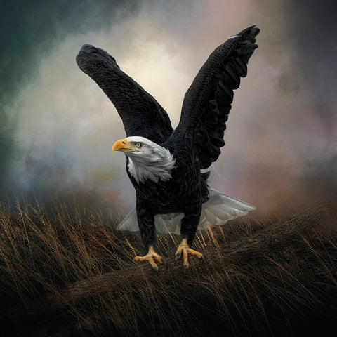 Morning Stretch White Modern Wood Framed Art Print with Double Matting by Parker, Kelley