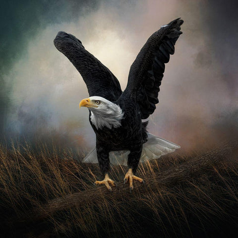 Morning Stretch Black Modern Wood Framed Art Print by Parker, Kelley