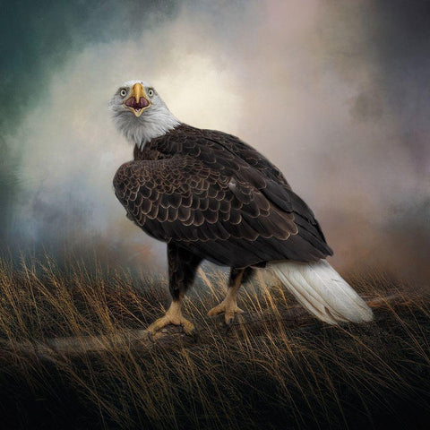 Warning Cry Black Modern Wood Framed Art Print with Double Matting by Parker, Kelley