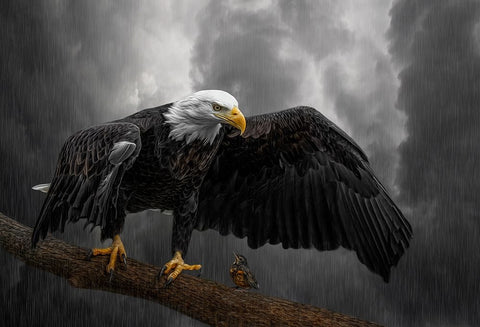 Storm Compassion White Modern Wood Framed Art Print with Double Matting by Parker, Kelley