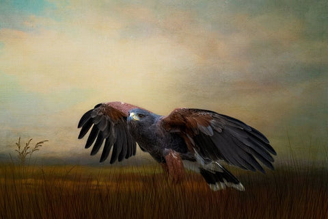 On the Hunt Black Ornate Wood Framed Art Print with Double Matting by Parker, Kelley