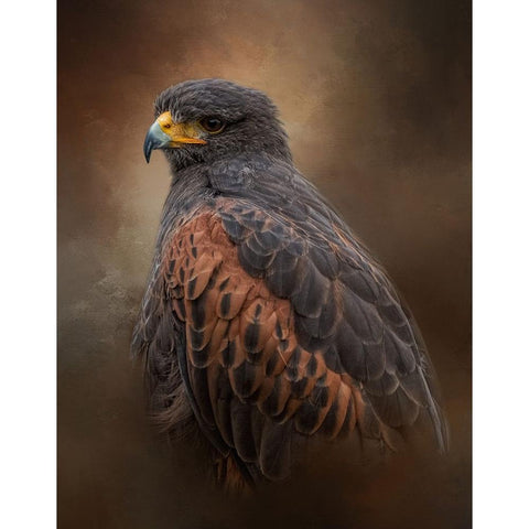 Always Alert Black Modern Wood Framed Art Print by Parker, Kelley