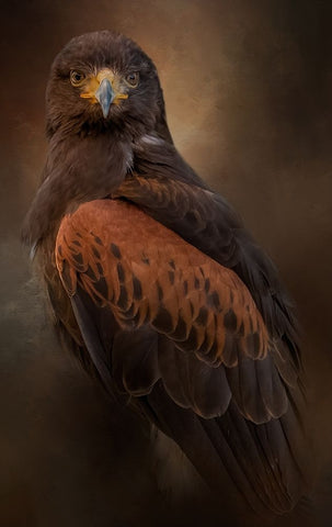 Focused Black Ornate Wood Framed Art Print with Double Matting by Parker, Kelley