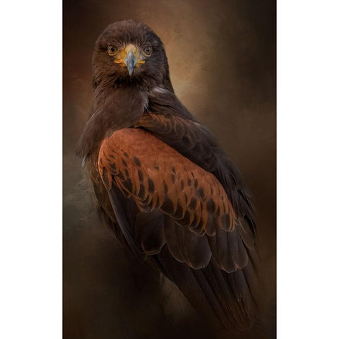 Focused Black Modern Wood Framed Art Print by Parker, Kelley