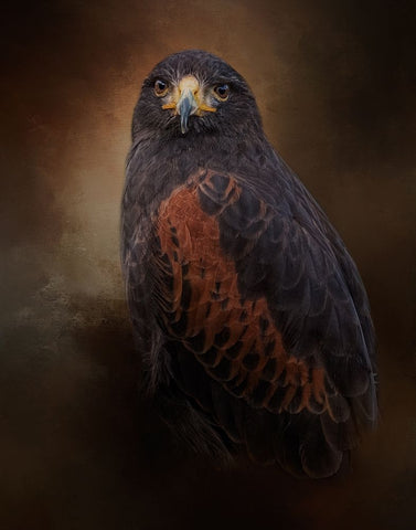 Regal Pursuer Black Ornate Wood Framed Art Print with Double Matting by Parker, Kelley