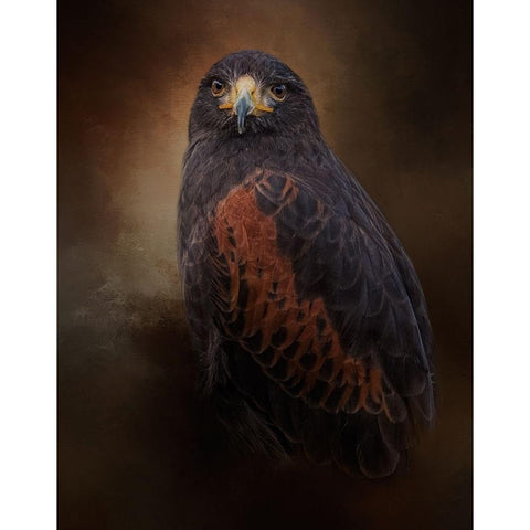 Regal Pursuer Black Modern Wood Framed Art Print by Parker, Kelley