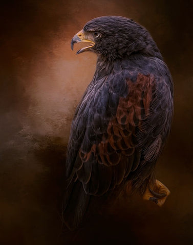 Spirit of Truth Black Ornate Wood Framed Art Print with Double Matting by Parker, Kelley