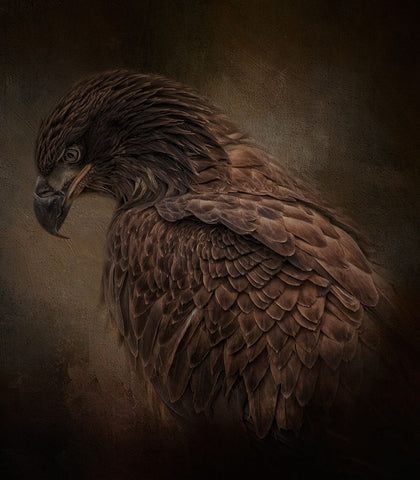 Bow Your Head Black Ornate Wood Framed Art Print with Double Matting by Parker, Kelley