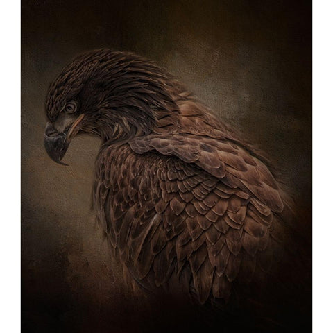 Bow Your Head Black Modern Wood Framed Art Print by Parker, Kelley