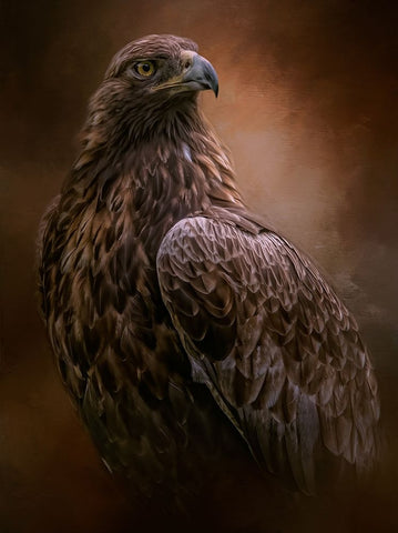 Free Spirit Black Ornate Wood Framed Art Print with Double Matting by Parker, Kelley