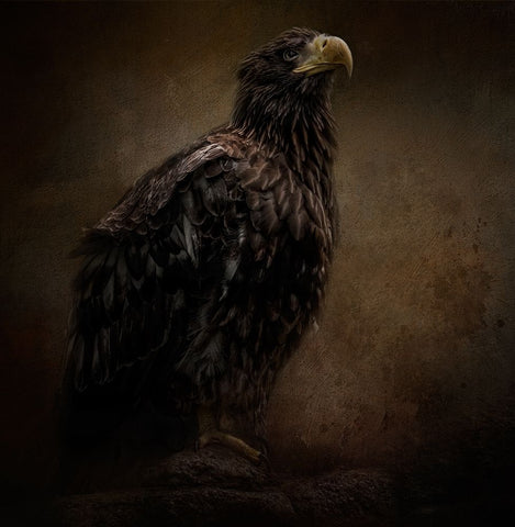 Facing the Unknown Black Ornate Wood Framed Art Print with Double Matting by Parker, Kelley