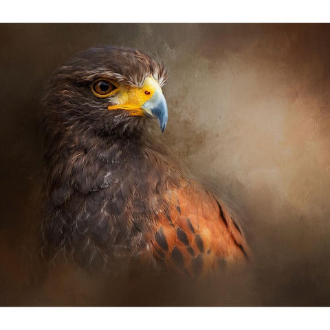 Following the Light White Modern Wood Framed Art Print by Parker, Kelley