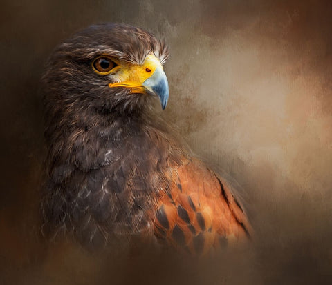 Following the Light White Modern Wood Framed Art Print with Double Matting by Parker, Kelley