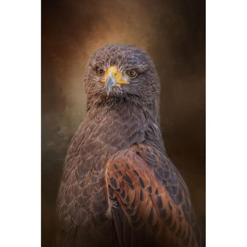 Intense Outlook Gold Ornate Wood Framed Art Print with Double Matting by Parker, Kelley