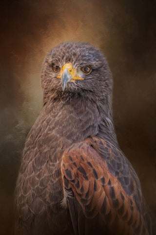 Intense Outlook White Modern Wood Framed Art Print with Double Matting by Parker, Kelley