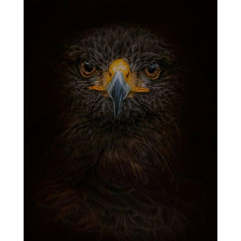 Searching for Darkness Gold Ornate Wood Framed Art Print with Double Matting by Parker, Kelley