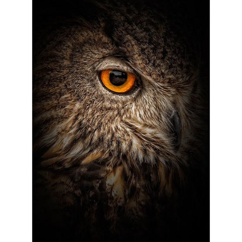 Dare Gold Ornate Wood Framed Art Print with Double Matting by Parker, Kelley