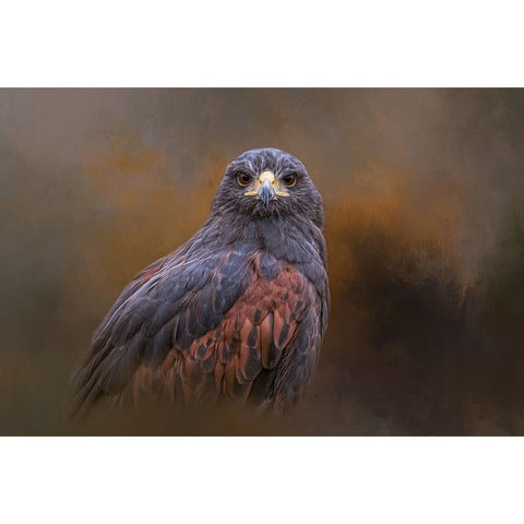 Extreme Focus Black Modern Wood Framed Art Print with Double Matting by Parker, Kelley