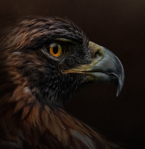 Eye-Catching White Modern Wood Framed Art Print with Double Matting by Parker, Kelley