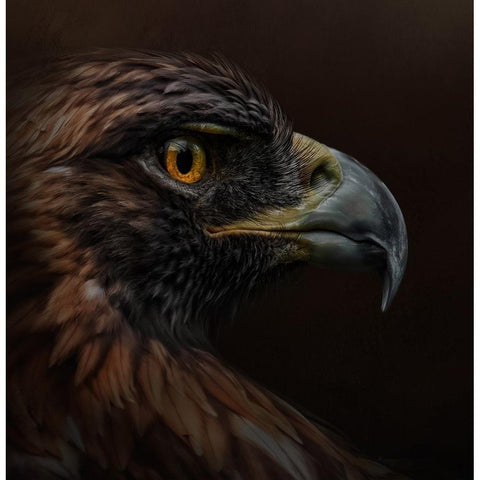 Eye-Catching Black Modern Wood Framed Art Print by Parker, Kelley