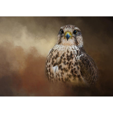 Shadow Hunter Gold Ornate Wood Framed Art Print with Double Matting by Parker, Kelley