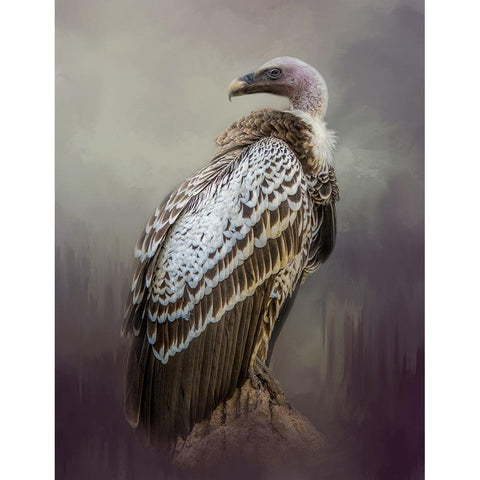 Over Her Shoulder White Modern Wood Framed Art Print by Parker, Kelley