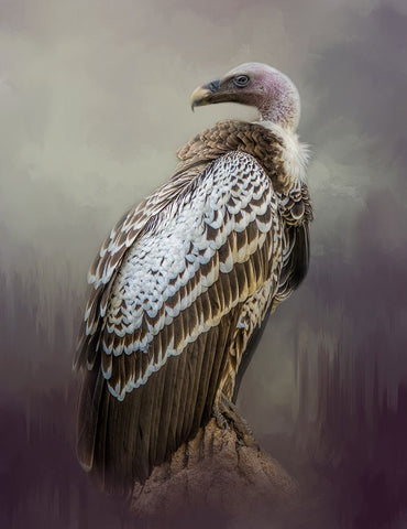 Over Her Shoulder Black Ornate Wood Framed Art Print with Double Matting by Parker, Kelley