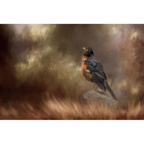 Greeting Autumn Black Modern Wood Framed Art Print with Double Matting by Parker, Kelley