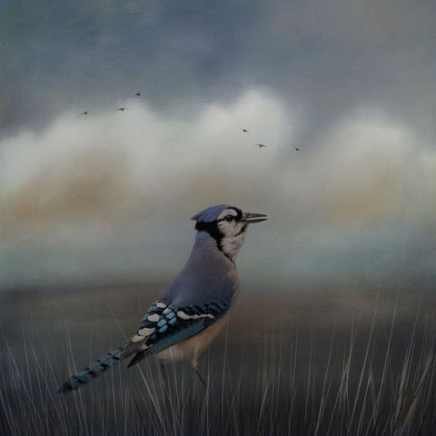 Blue Morning Black Ornate Wood Framed Art Print with Double Matting by Parker, Kelley