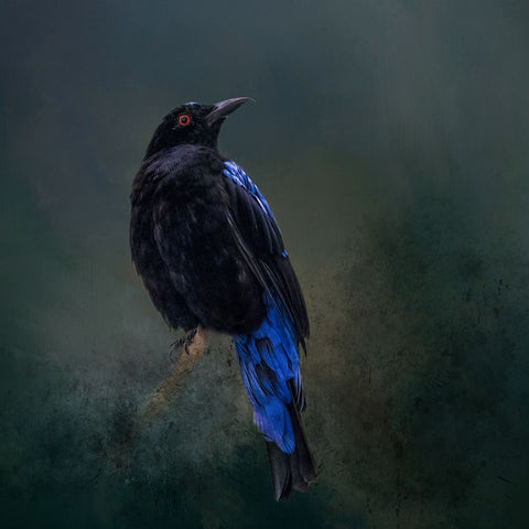 Taking the Red Eye White Modern Wood Framed Art Print with Double Matting by Parker, Kelley