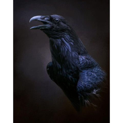 The Messenger White Modern Wood Framed Art Print by Parker, Kelley