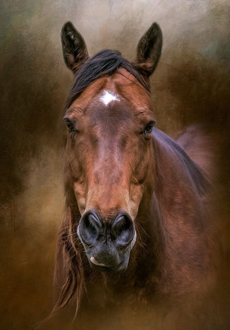 Country Heart Black Modern Wood Framed Art Print by Parker, Kelley