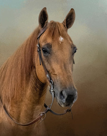 Golden Splendor Black Ornate Wood Framed Art Print with Double Matting by Parker, Kelley