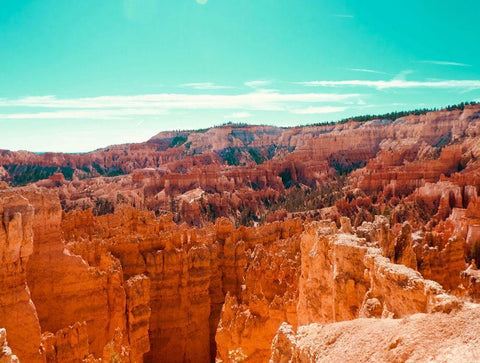 Wonderland Black Ornate Wood Framed Art Print with Double Matting by Singleton, Ashley