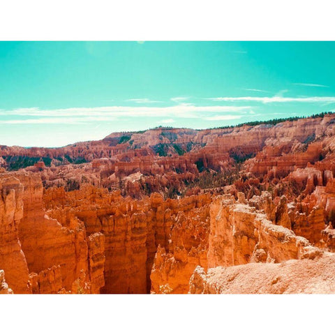 Wonderland Black Modern Wood Framed Art Print by Singleton, Ashley