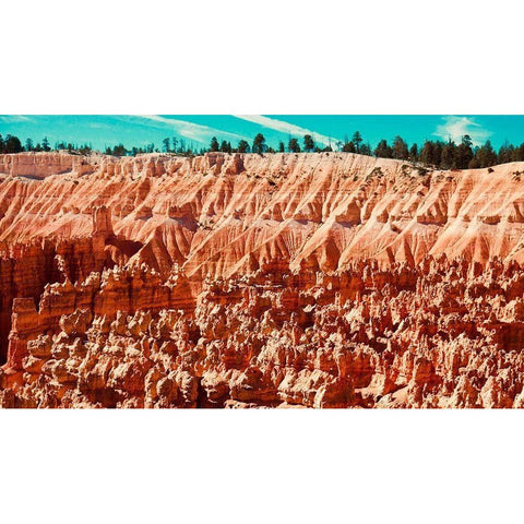 Natures Wonders White Modern Wood Framed Art Print by Singleton, Ashley