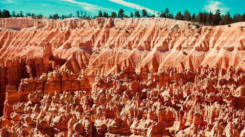 Natures Wonders White Modern Wood Framed Art Print with Double Matting by Singleton, Ashley