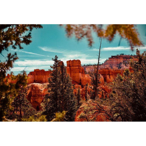 Bryce Canyon Black Modern Wood Framed Art Print with Double Matting by Singleton, Ashley