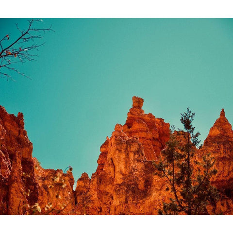 Natures Beauty Black Modern Wood Framed Art Print by Singleton, Ashley