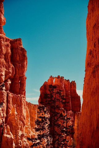 Unity Black Ornate Wood Framed Art Print with Double Matting by Singleton, Ashley