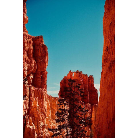 Unity Black Modern Wood Framed Art Print with Double Matting by Singleton, Ashley