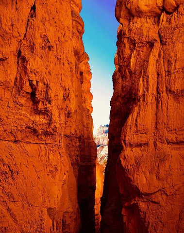 Juxtaposing Colors Black Ornate Wood Framed Art Print with Double Matting by Singleton, Ashley