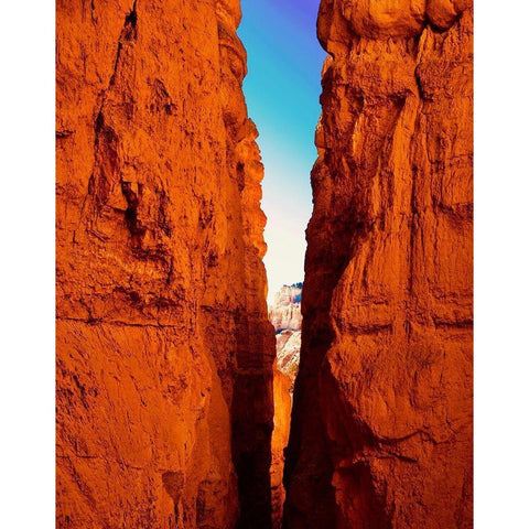 Juxtaposing Colors White Modern Wood Framed Art Print by Singleton, Ashley