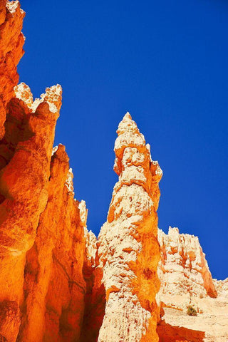 Hoodoo Black Ornate Wood Framed Art Print with Double Matting by Singleton, Ashley