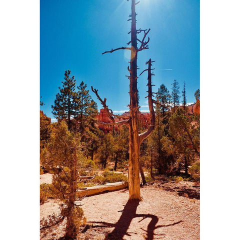 Timeless Treasures White Modern Wood Framed Art Print by Singleton, Ashley