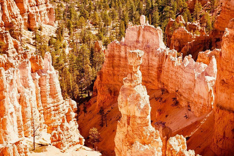 Hoo Doo Black Ornate Wood Framed Art Print with Double Matting by Singleton, Ashley