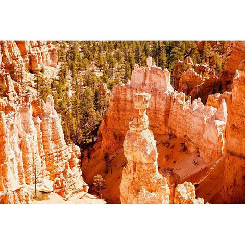 Hoo Doo Black Modern Wood Framed Art Print with Double Matting by Singleton, Ashley