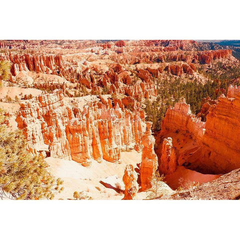 Rooftop Tent Black Modern Wood Framed Art Print by Singleton, Ashley