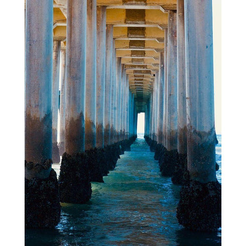 Pier   Black Modern Wood Framed Art Print by Singleton, Ashley
